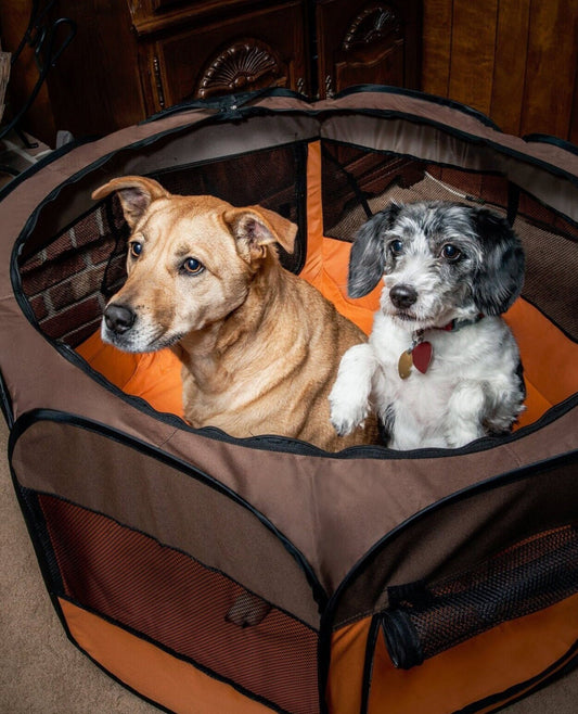 Octagonal Portable Pet Tent